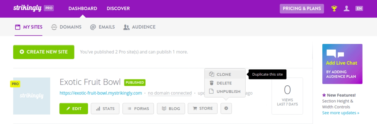 multilingual website multilingual website